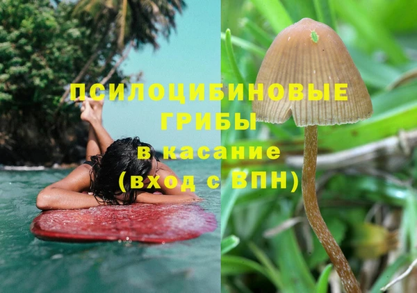 мдпв Волоколамск