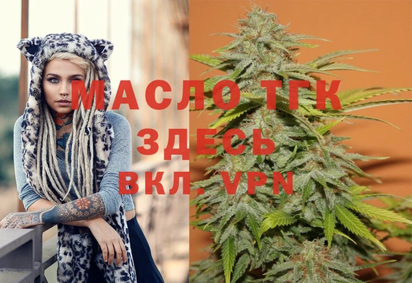 мдпв Волоколамск
