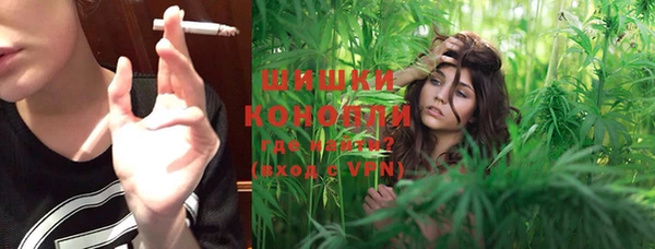 мдпв Волоколамск